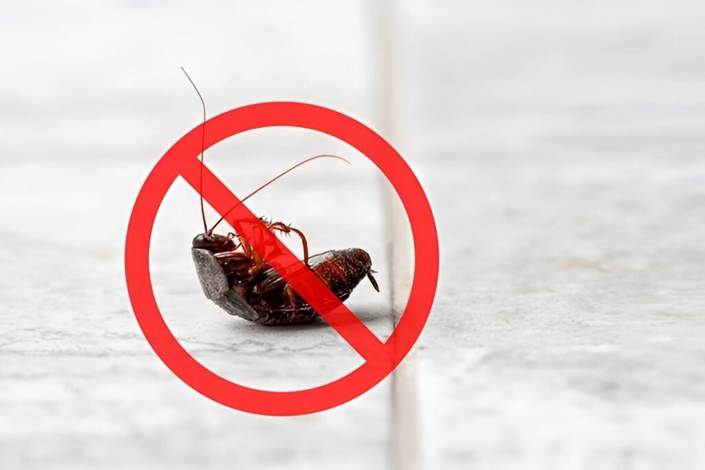 Pest Control